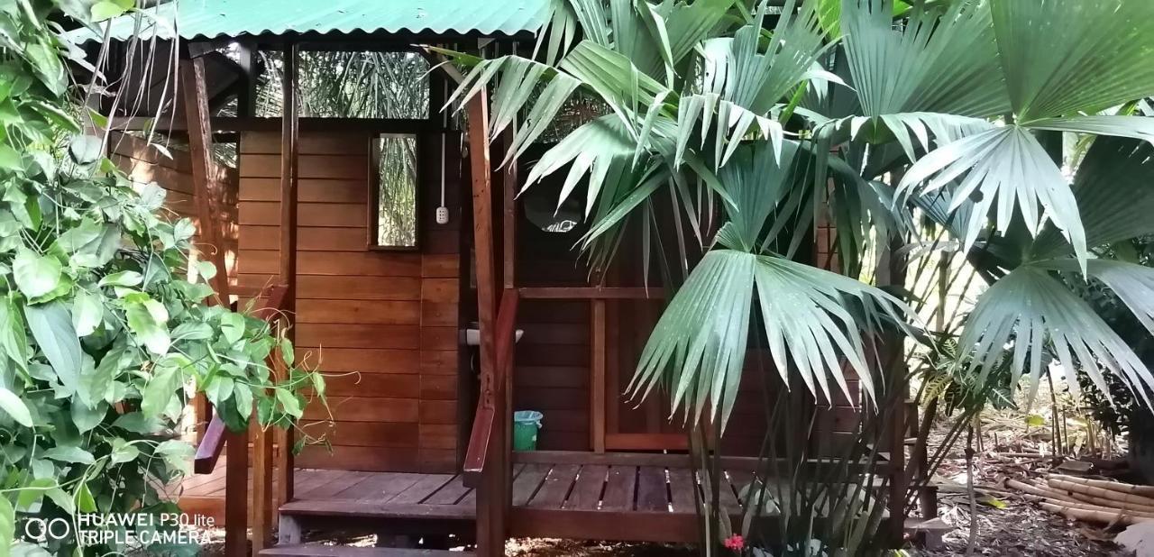 Passiflora Lodge Tambopata Πουέρτο Μαλντονάντο Εξωτερικό φωτογραφία