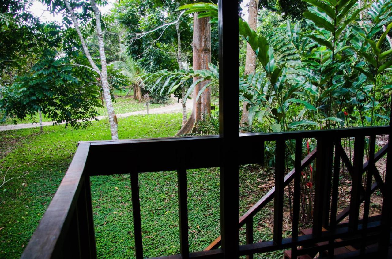 Passiflora Lodge Tambopata Πουέρτο Μαλντονάντο Δωμάτιο φωτογραφία