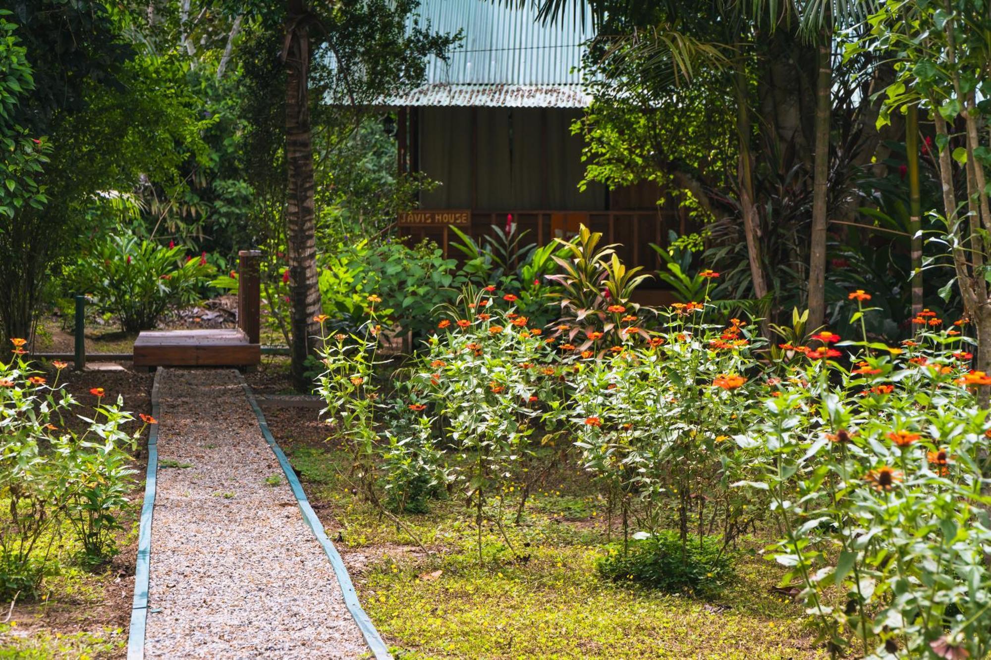 Passiflora Lodge Tambopata Πουέρτο Μαλντονάντο Εξωτερικό φωτογραφία