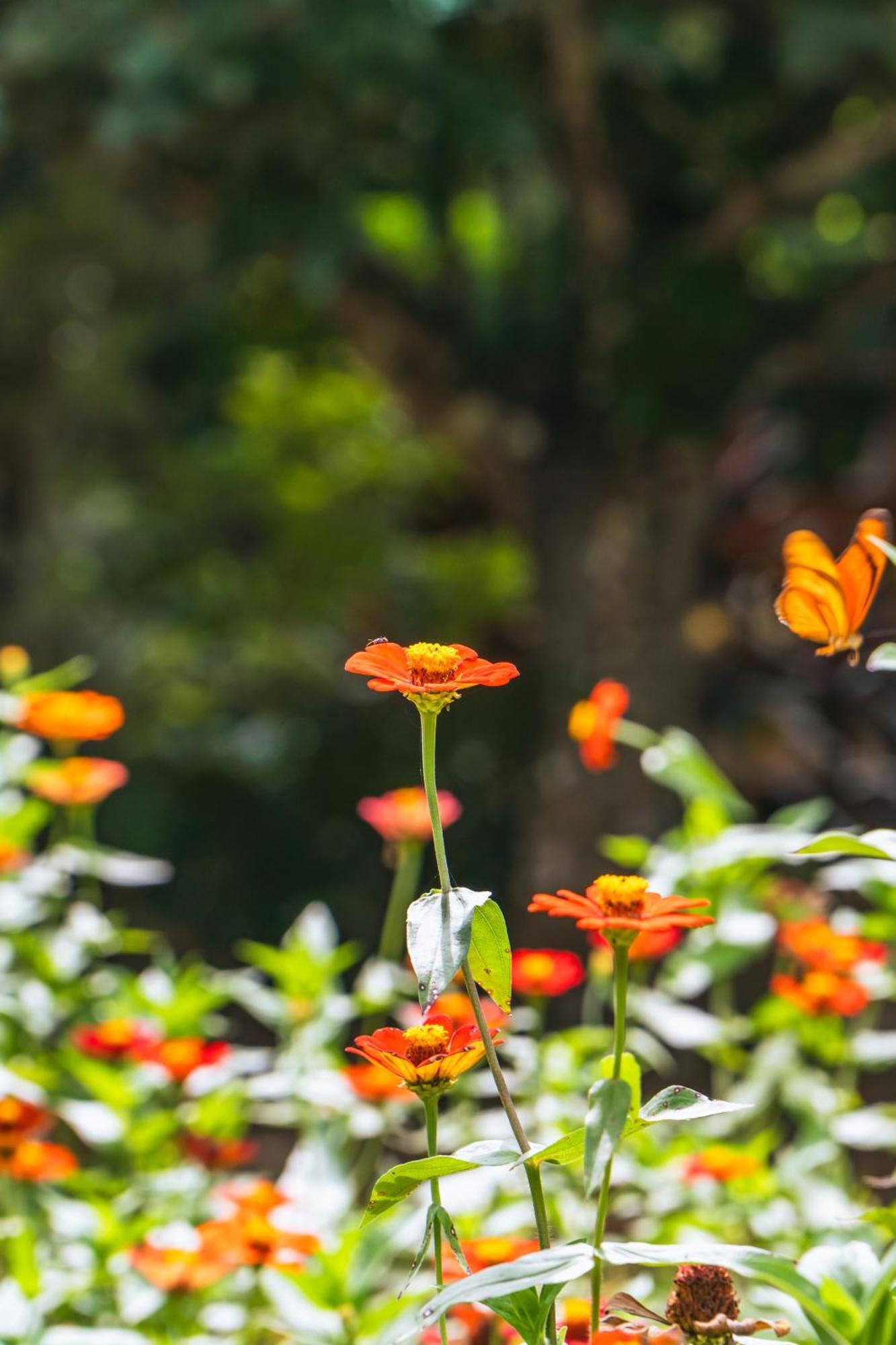 Passiflora Lodge Tambopata Πουέρτο Μαλντονάντο Δωμάτιο φωτογραφία